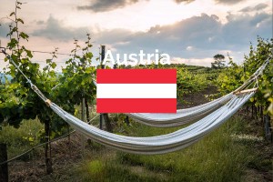 Austrian Winery