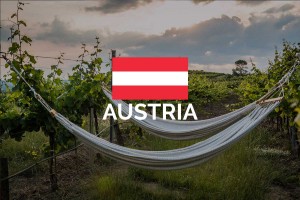 asustria vineyard