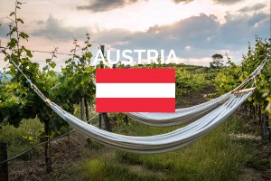 austria vineyard