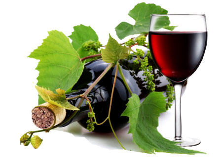 wine with vine