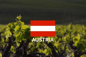 winery austria