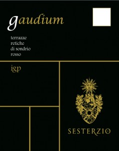 GAUDIUM BACK