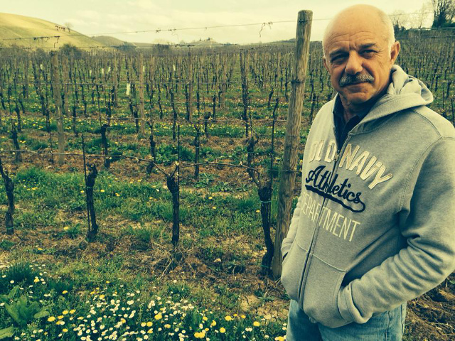 man in vineyard