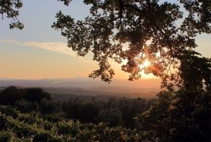 best brunello sant angelo colle montalcino