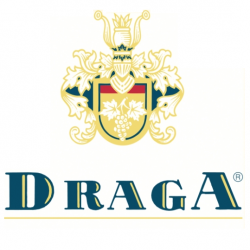 DRAGA LOGO