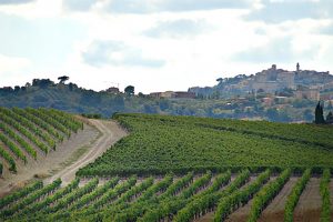 best vino nobile montepulciano